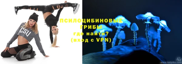 МДПВ Верея