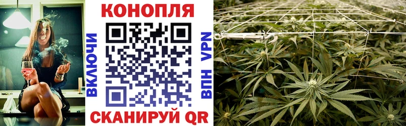 Канабис Bruce Banner Себеж